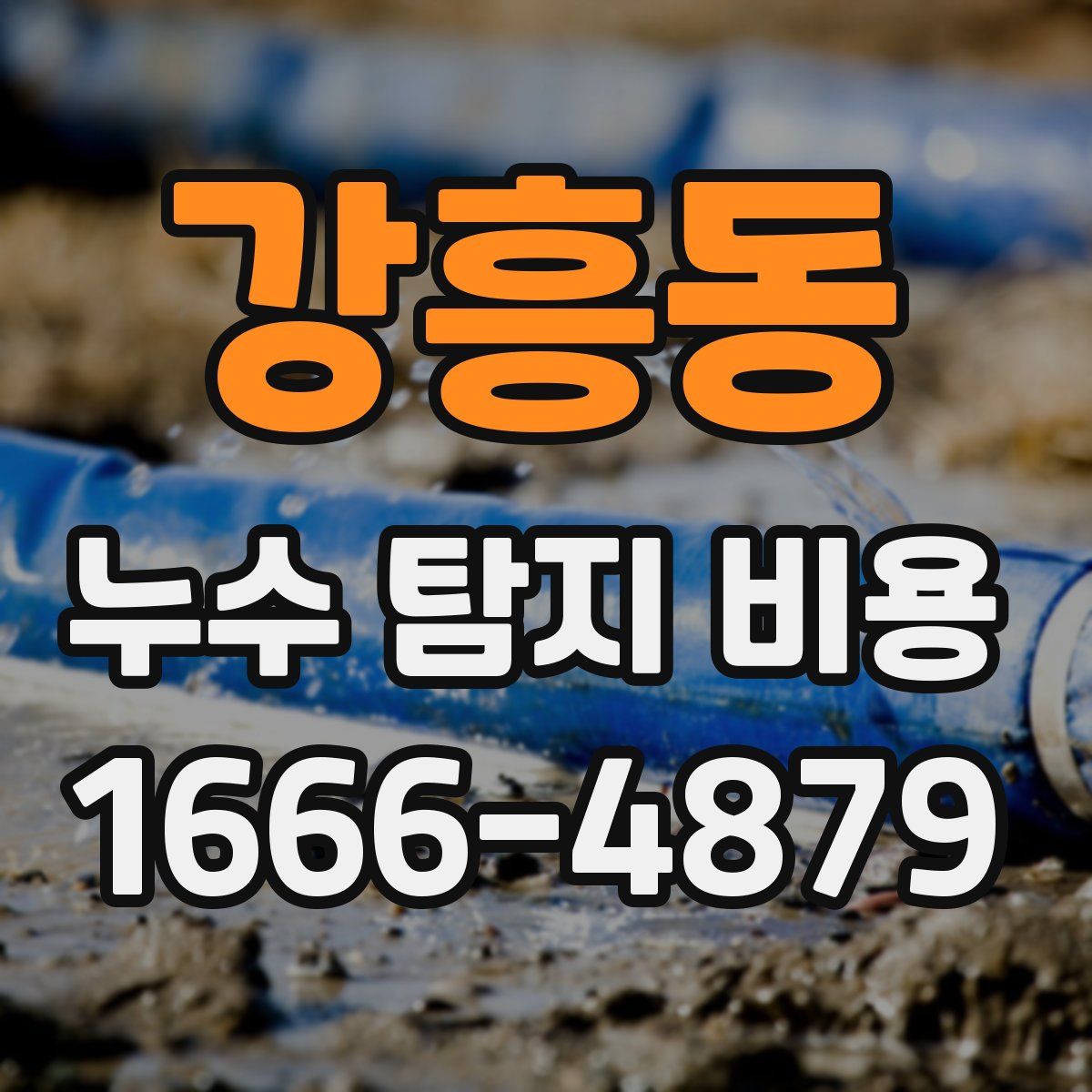 강흥동 누수 탐지 비용
