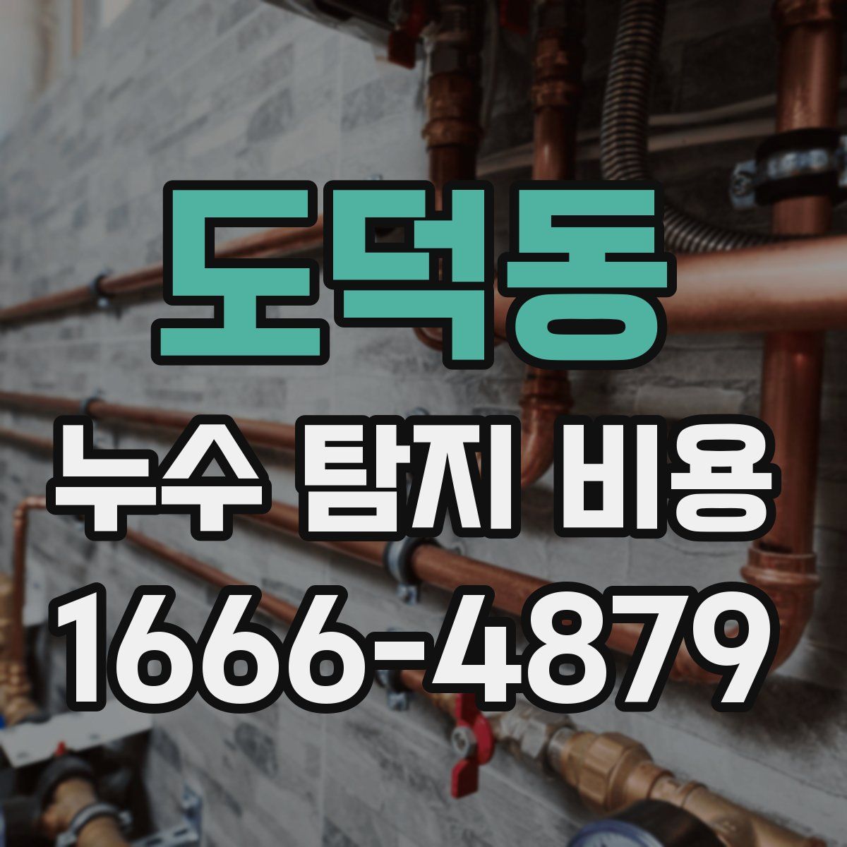 도덕동 누수 탐지 비용