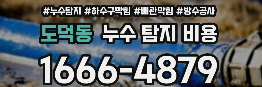 도덕동 누수 탐지 비용