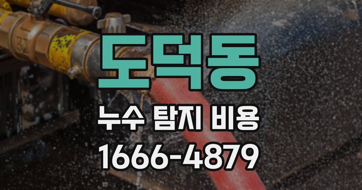 도덕동 누수 탐지 비용