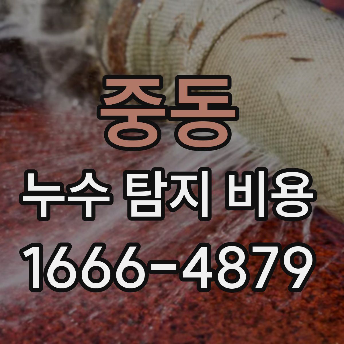 중동 누수 탐지 비용