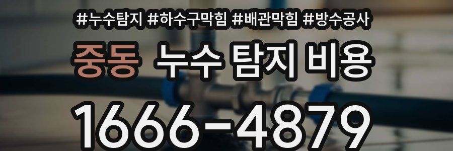 중동 누수 탐지 비용