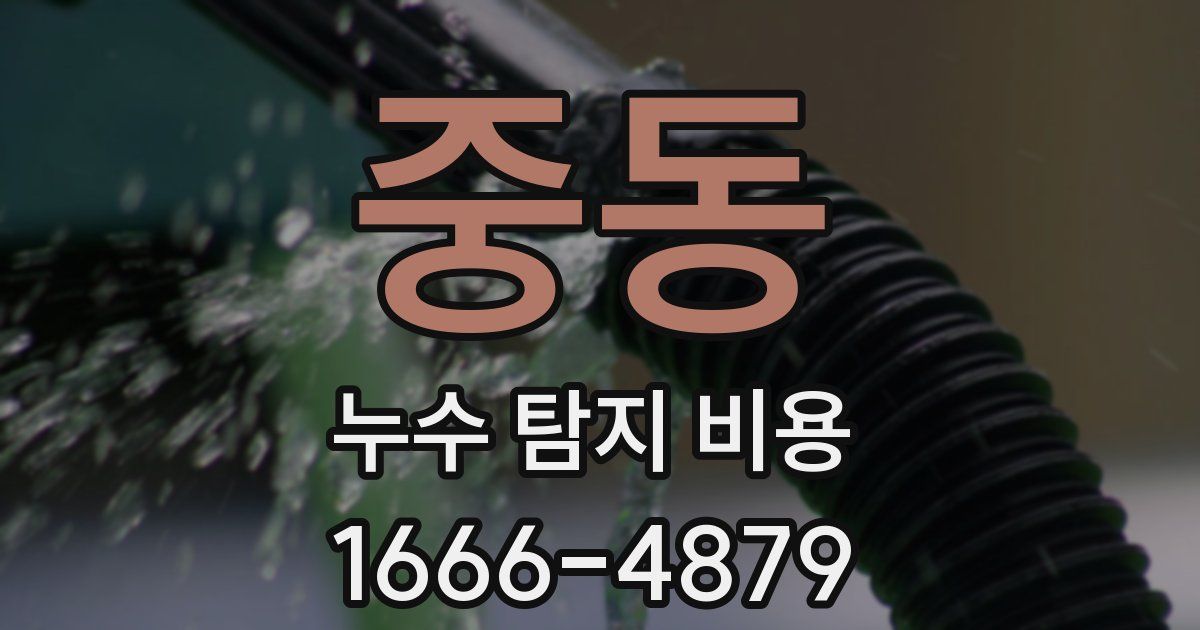 중동 누수 탐지 비용