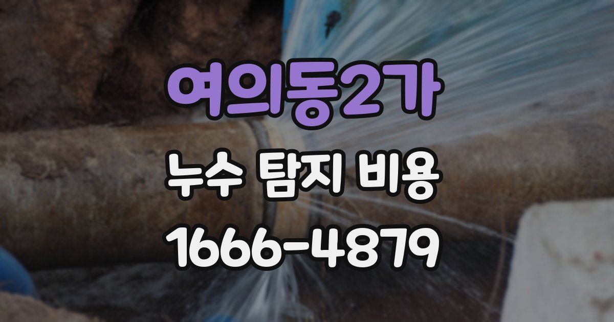 여의동2가 누수 탐지 비용