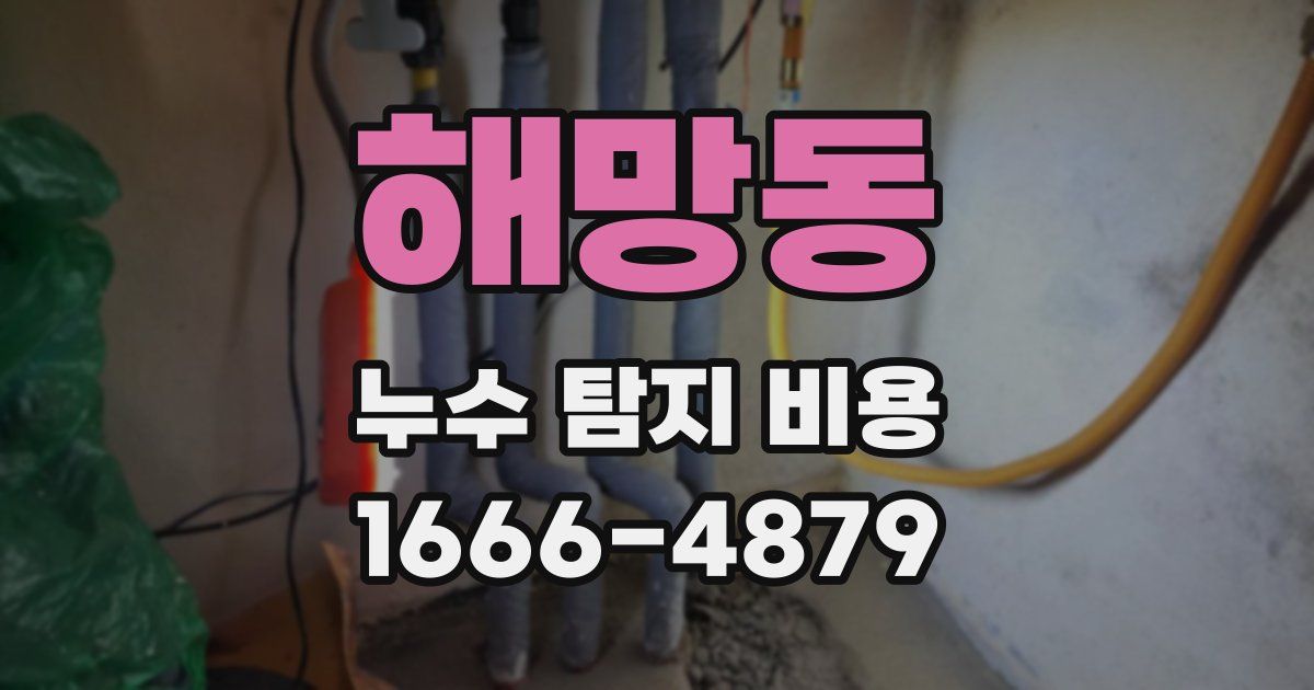해망동 누수 탐지 비용