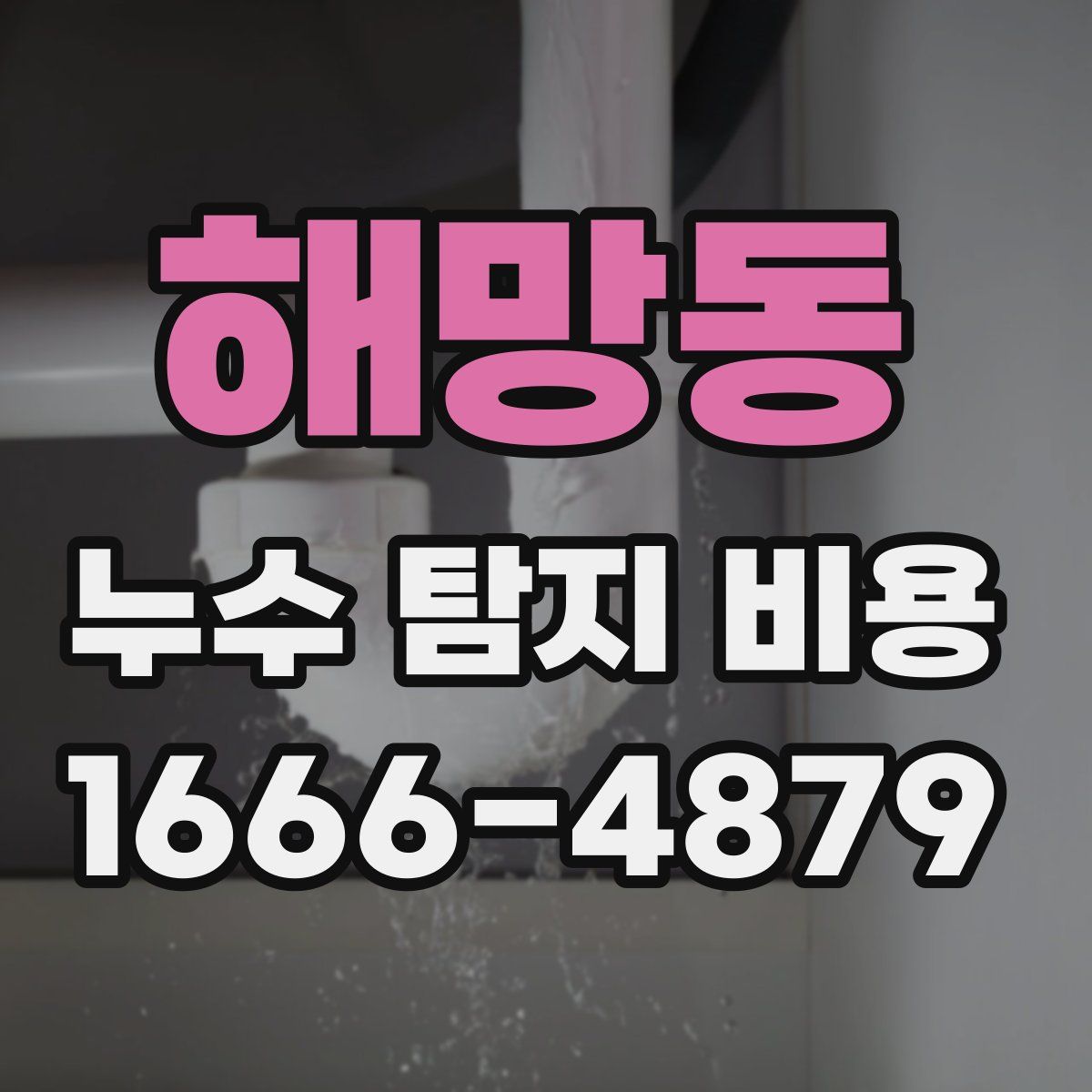 해망동 누수 탐지 비용