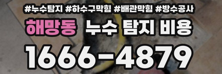 해망동 누수 탐지 비용