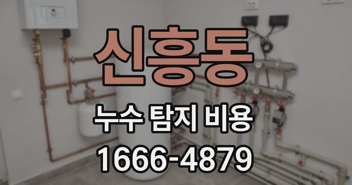 신흥동 누수 탐지 비용