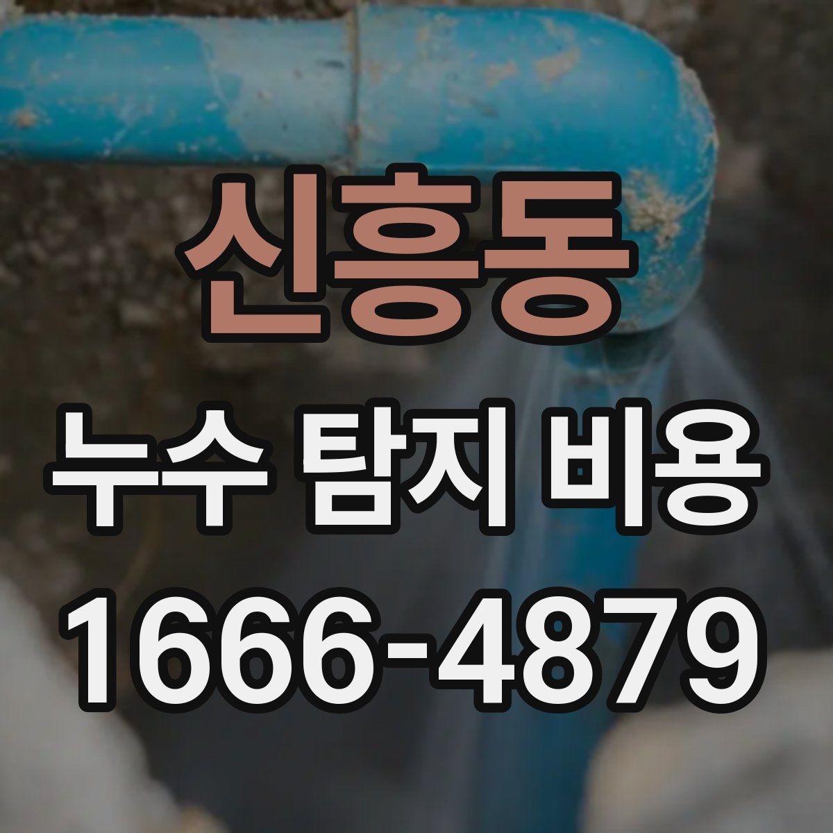 신흥동 누수 탐지 비용