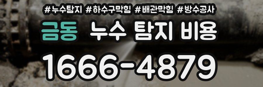 금동 누수 탐지 비용
