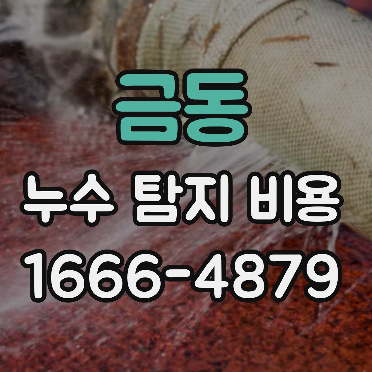 금동 누수 탐지 비용