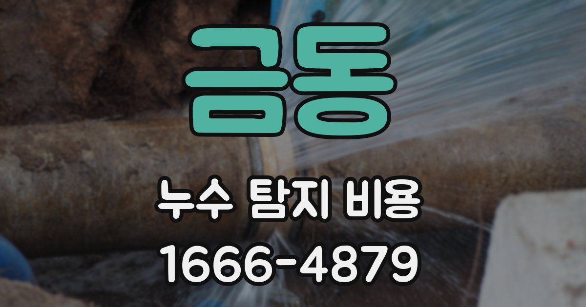 금동 누수 탐지 비용