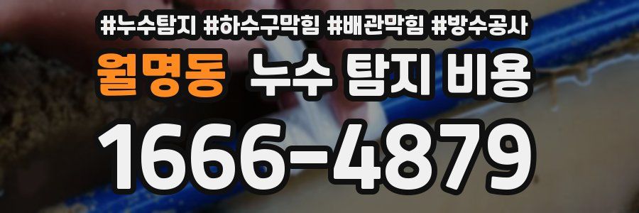 월명동 누수 탐지 비용