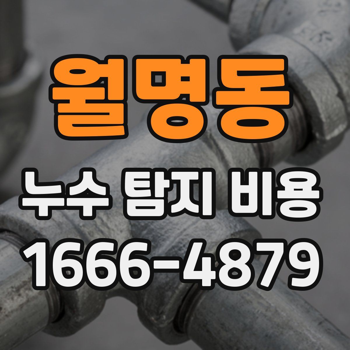월명동 누수 탐지 비용