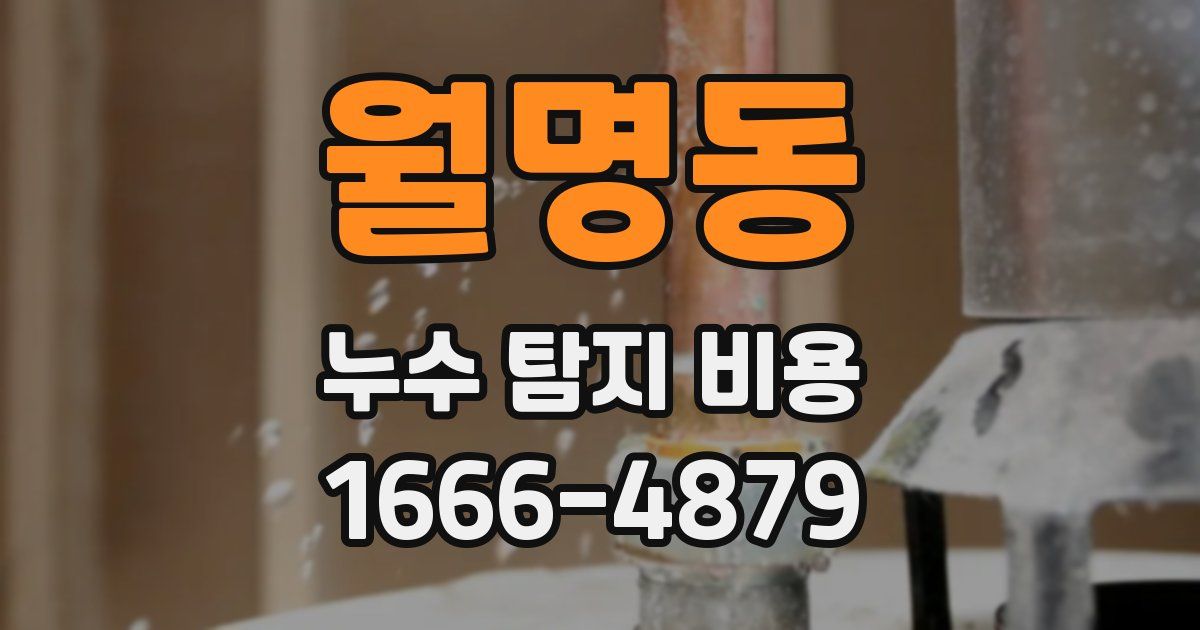 월명동 누수 탐지 비용