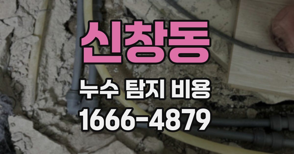 신창동 누수 탐지 비용
