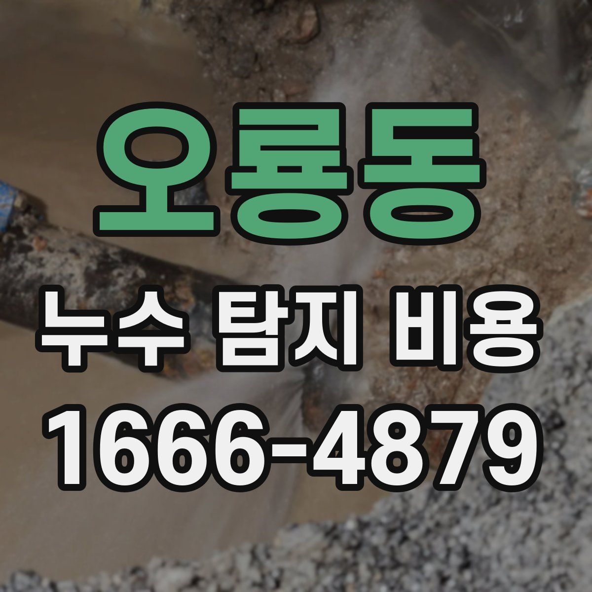 오룡동 누수 탐지 비용