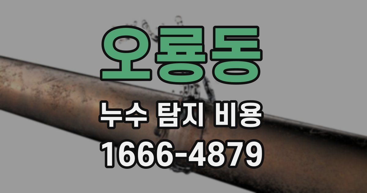 오룡동 누수 탐지 비용