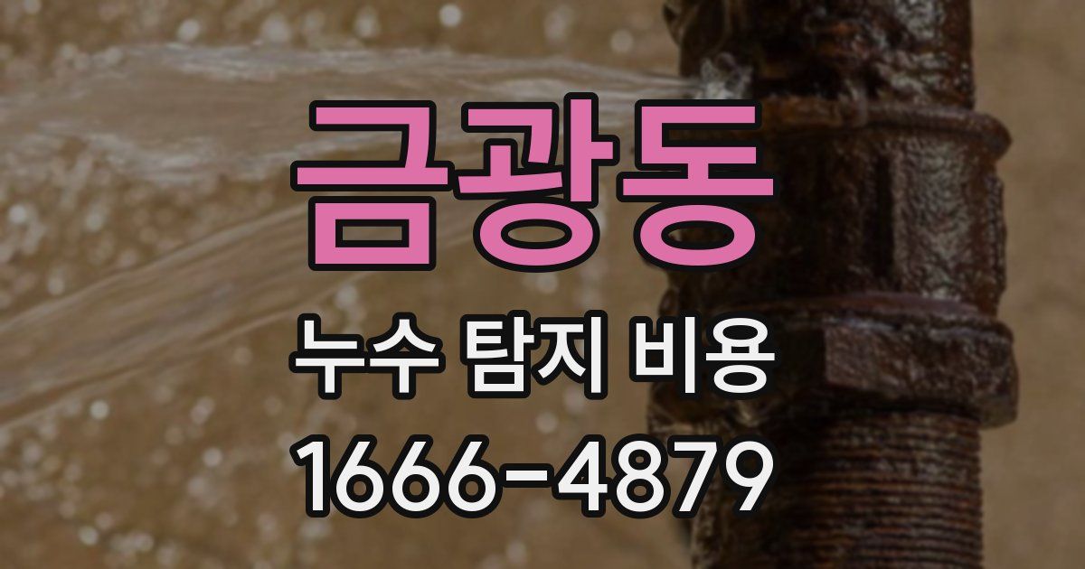 금광동 누수 탐지 비용