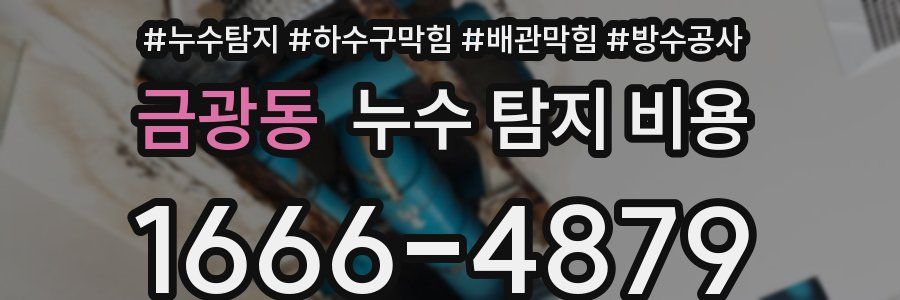 금광동 누수 탐지 비용