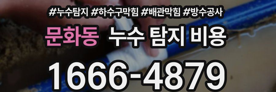 문화동 누수 탐지 비용