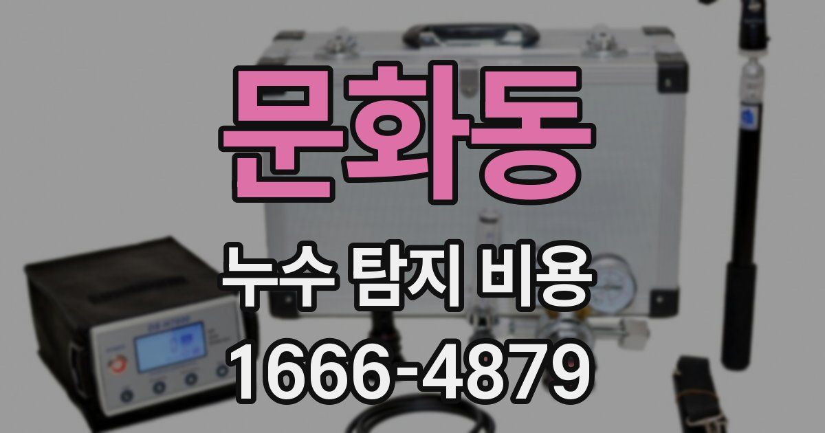 문화동 누수 탐지 비용