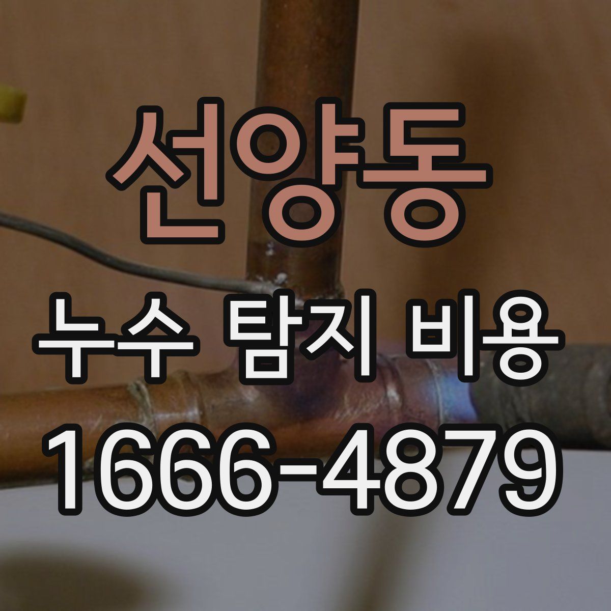 선양동 누수 탐지 비용