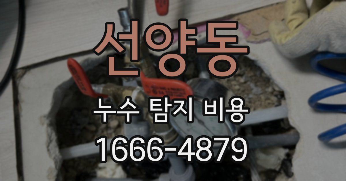 선양동 누수 탐지 비용