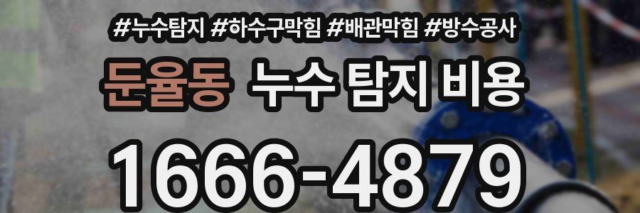 둔율동 누수 탐지 비용