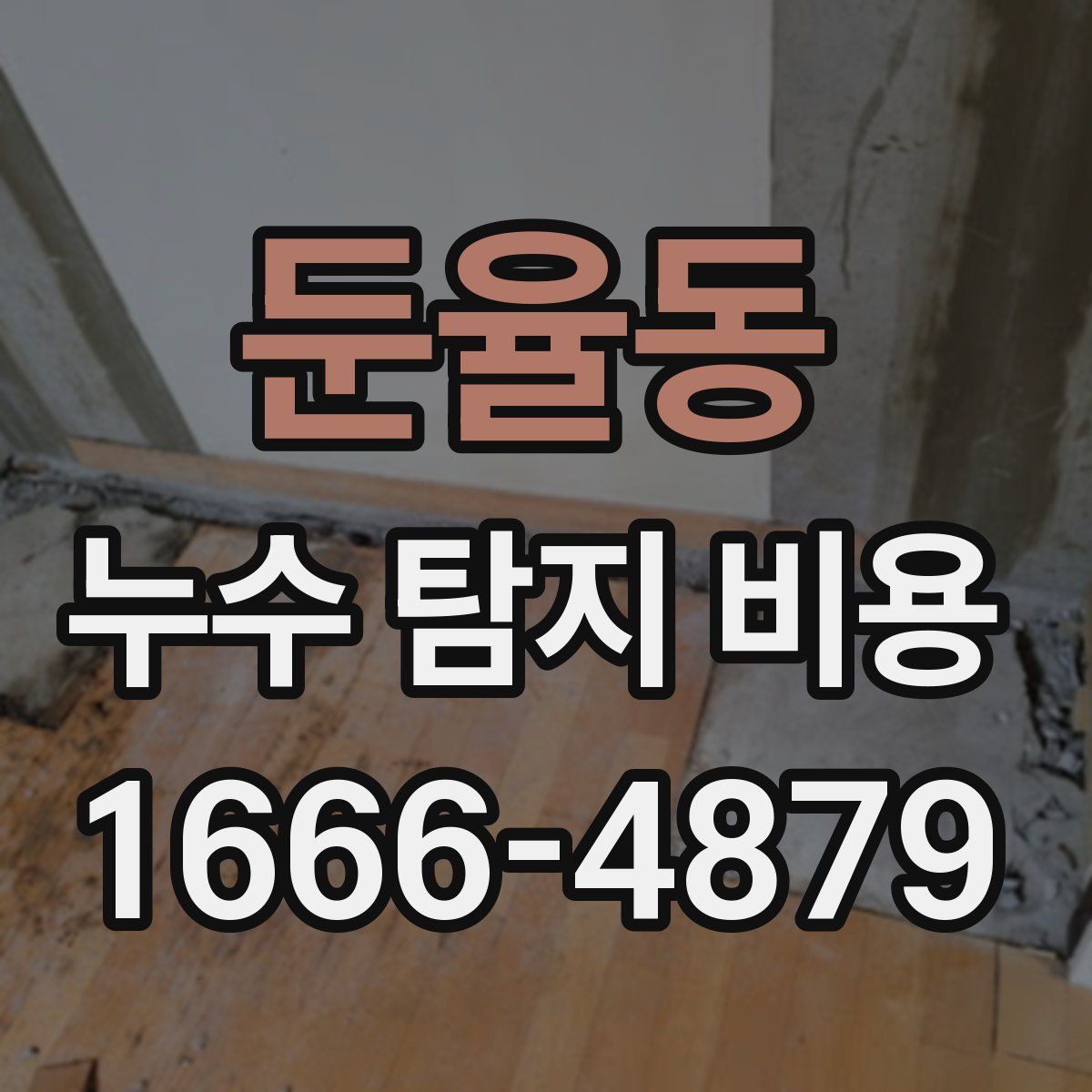 둔율동 누수 탐지 비용