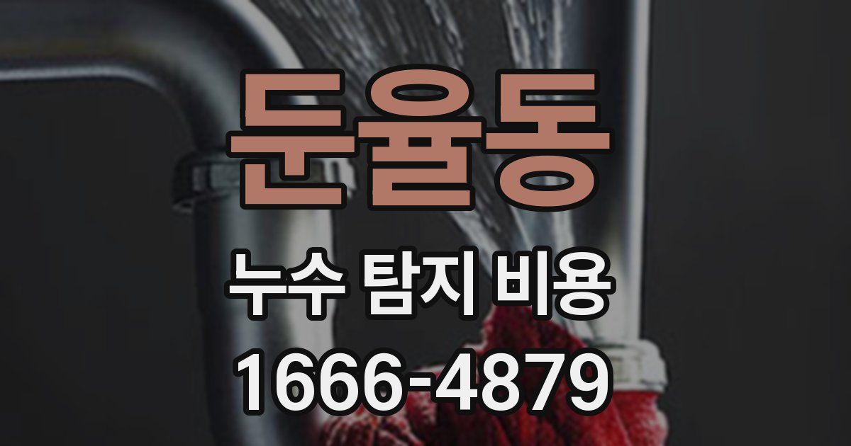 둔율동 누수 탐지 비용