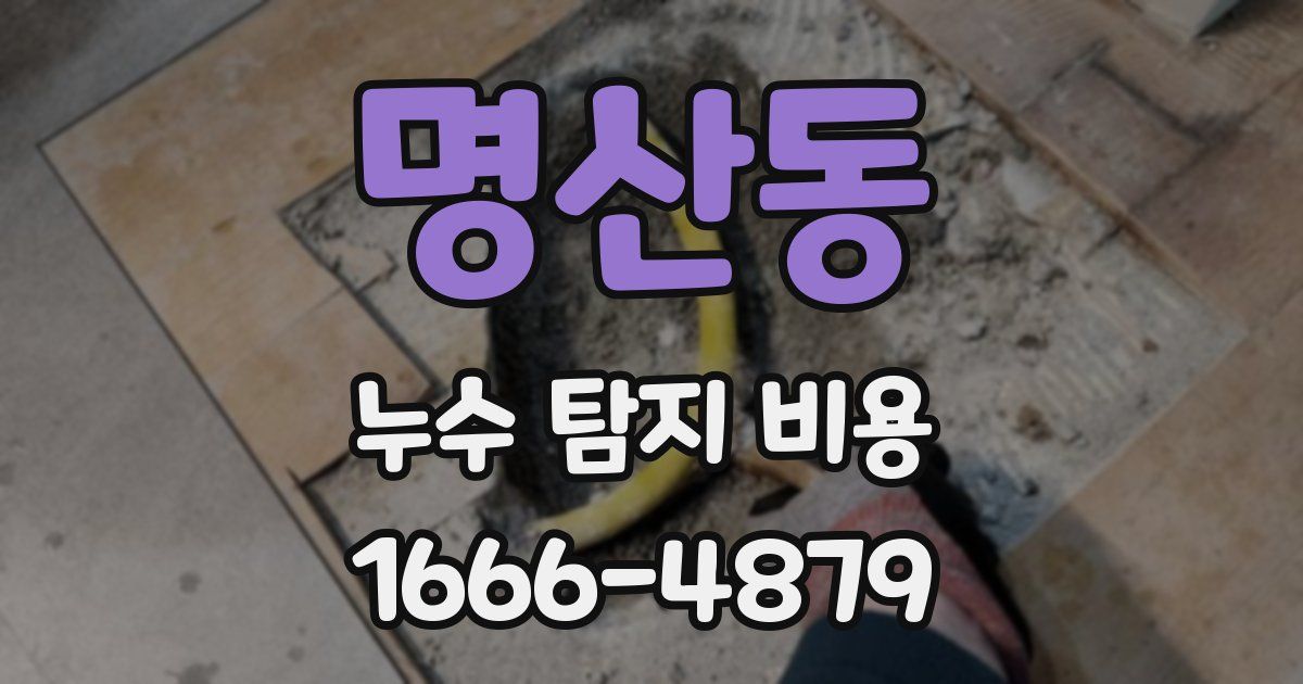 명산동 누수 탐지 비용