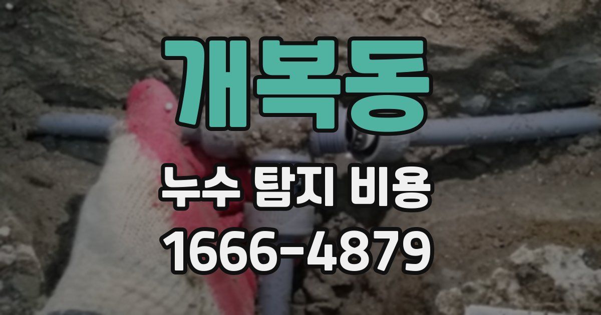 개복동 누수 탐지 비용