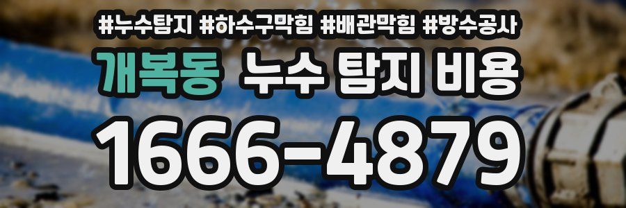 개복동 누수 탐지 비용