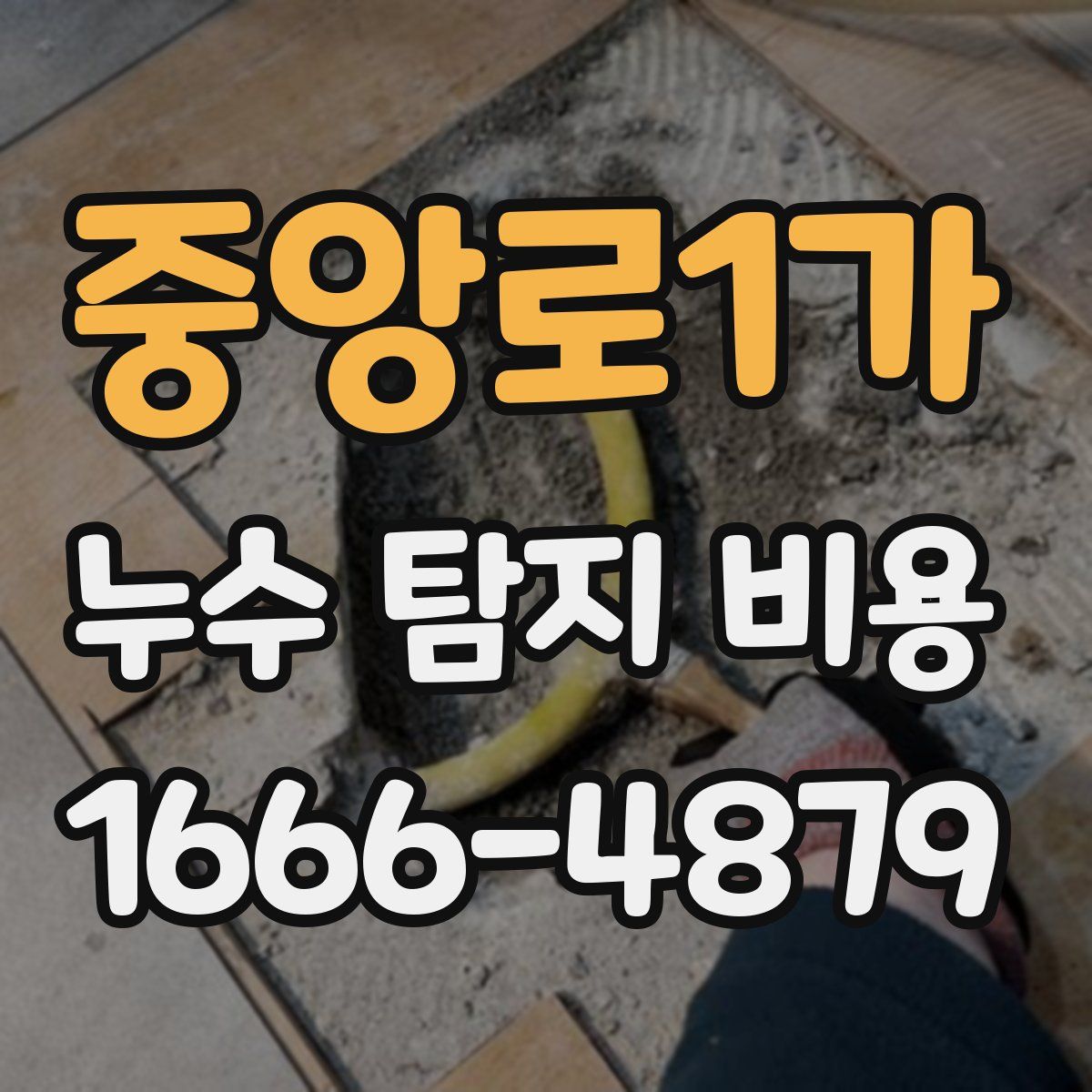 중앙로1가 누수 탐지 비용