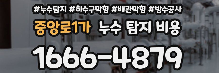 중앙로1가 누수 탐지 비용