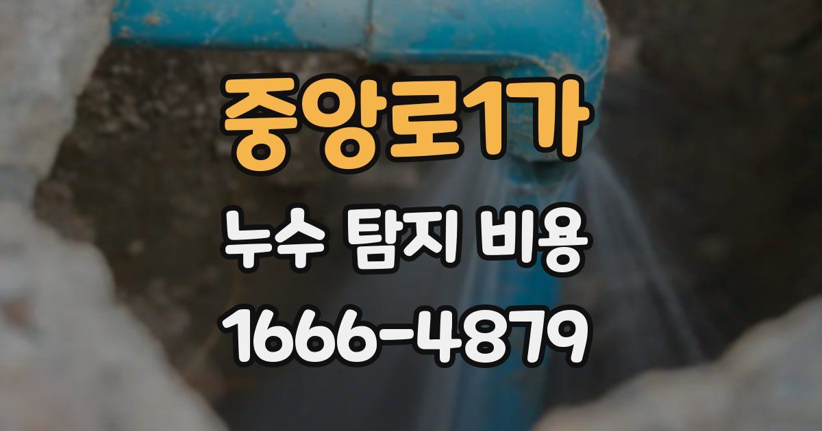 중앙로1가 누수 탐지 비용