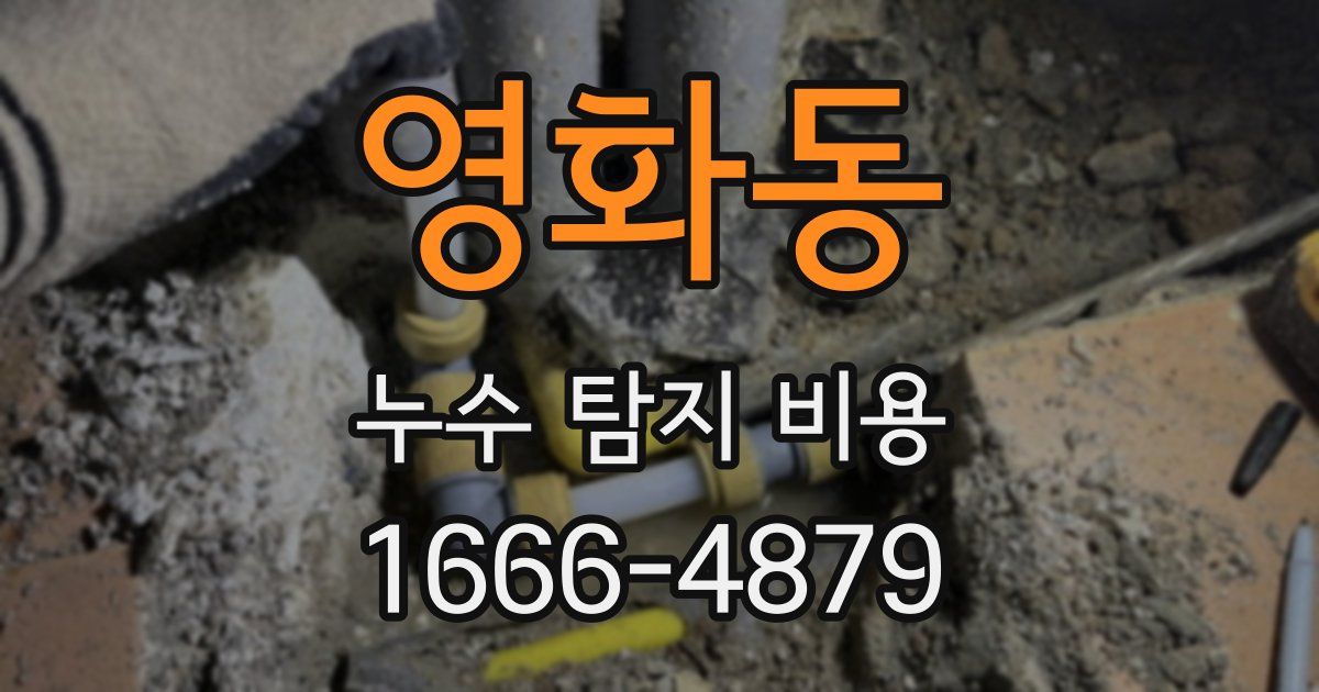 영화동 누수 탐지 비용