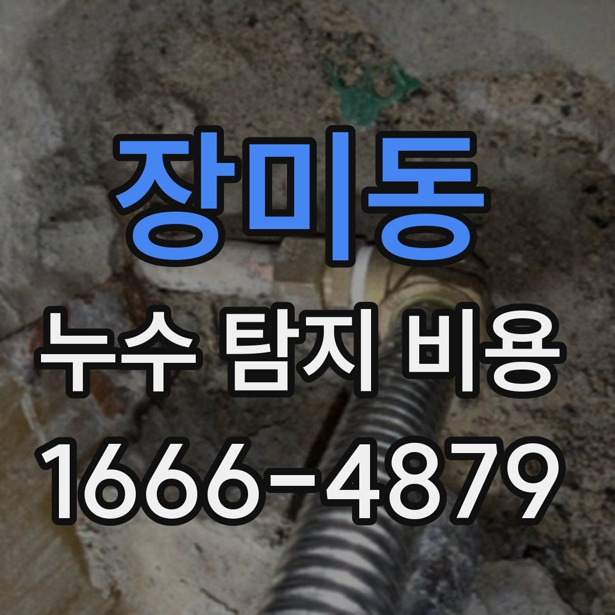 장미동 누수 탐지 비용