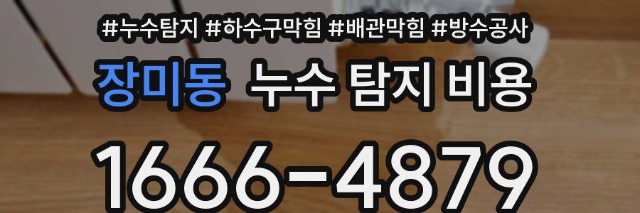 장미동 누수 탐지 비용