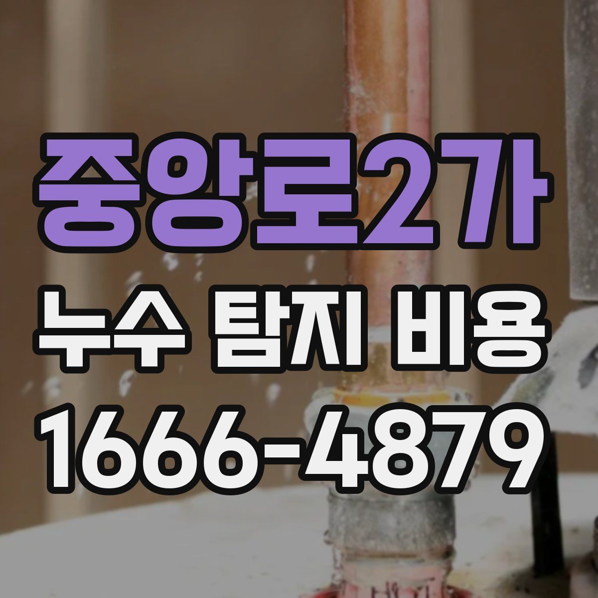 중앙로2가 누수 탐지 비용