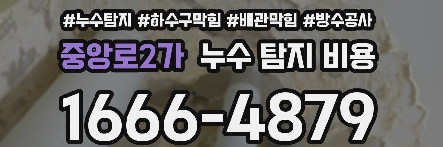중앙로2가 누수 탐지 비용