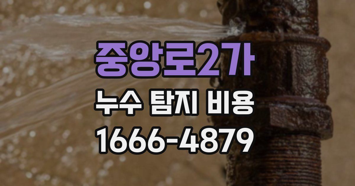 중앙로2가 누수 탐지 비용