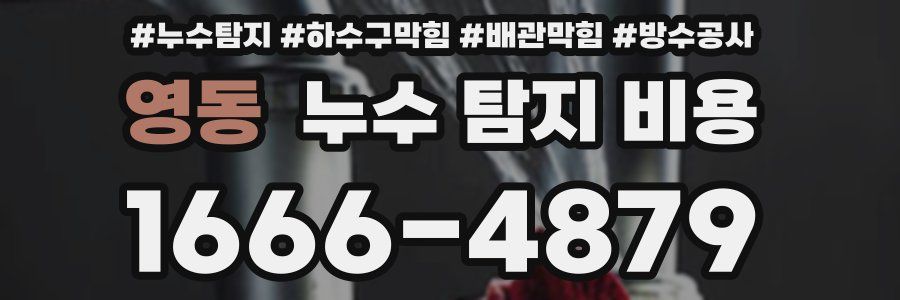 영동 누수 탐지 비용