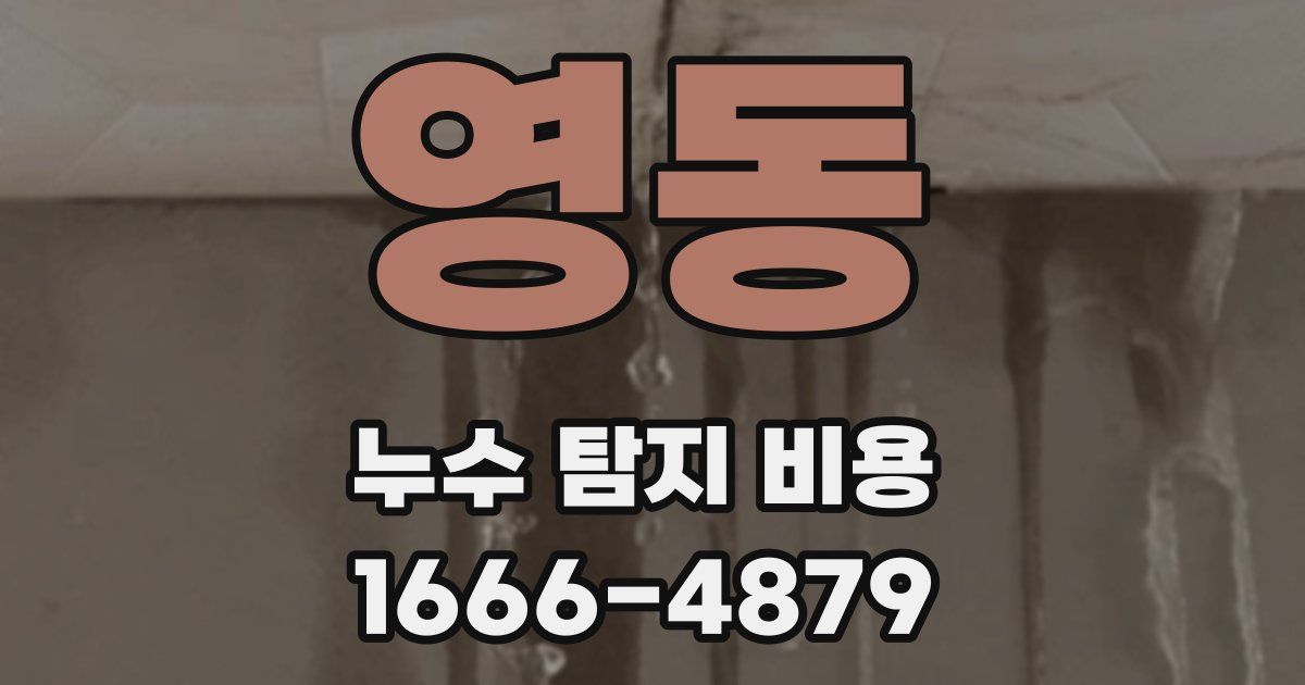영동 누수 탐지 비용