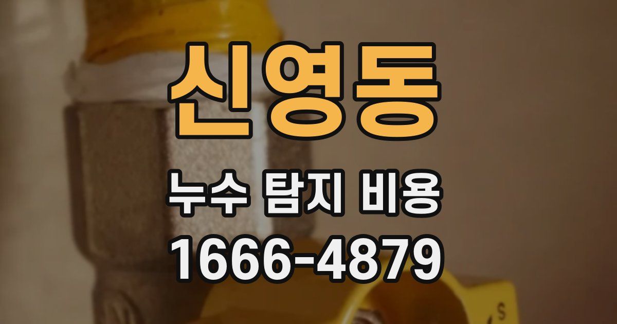 신영동 누수 탐지 비용
