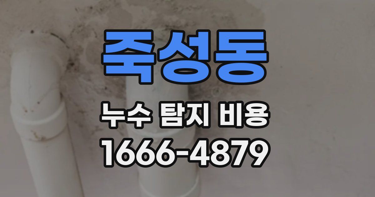 죽성동 누수 탐지 비용