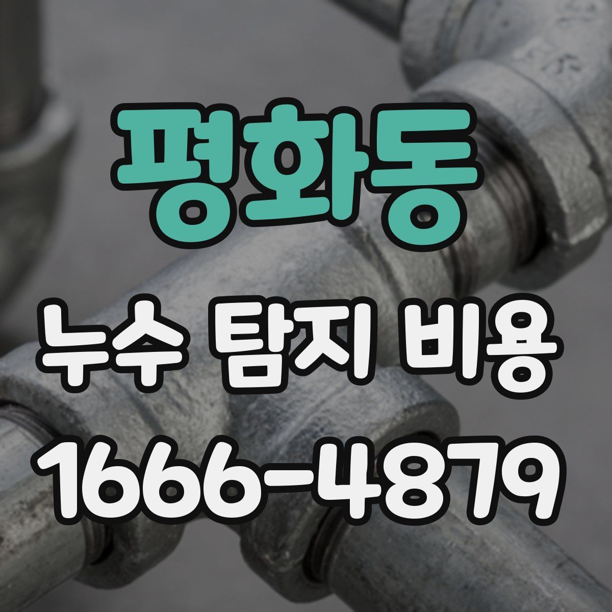 평화동 누수 탐지 비용
