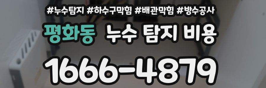 평화동 누수 탐지 비용
