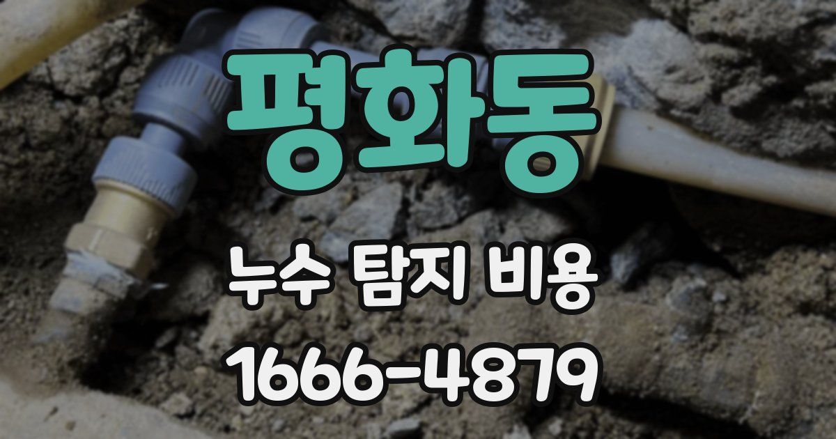 평화동 누수 탐지 비용